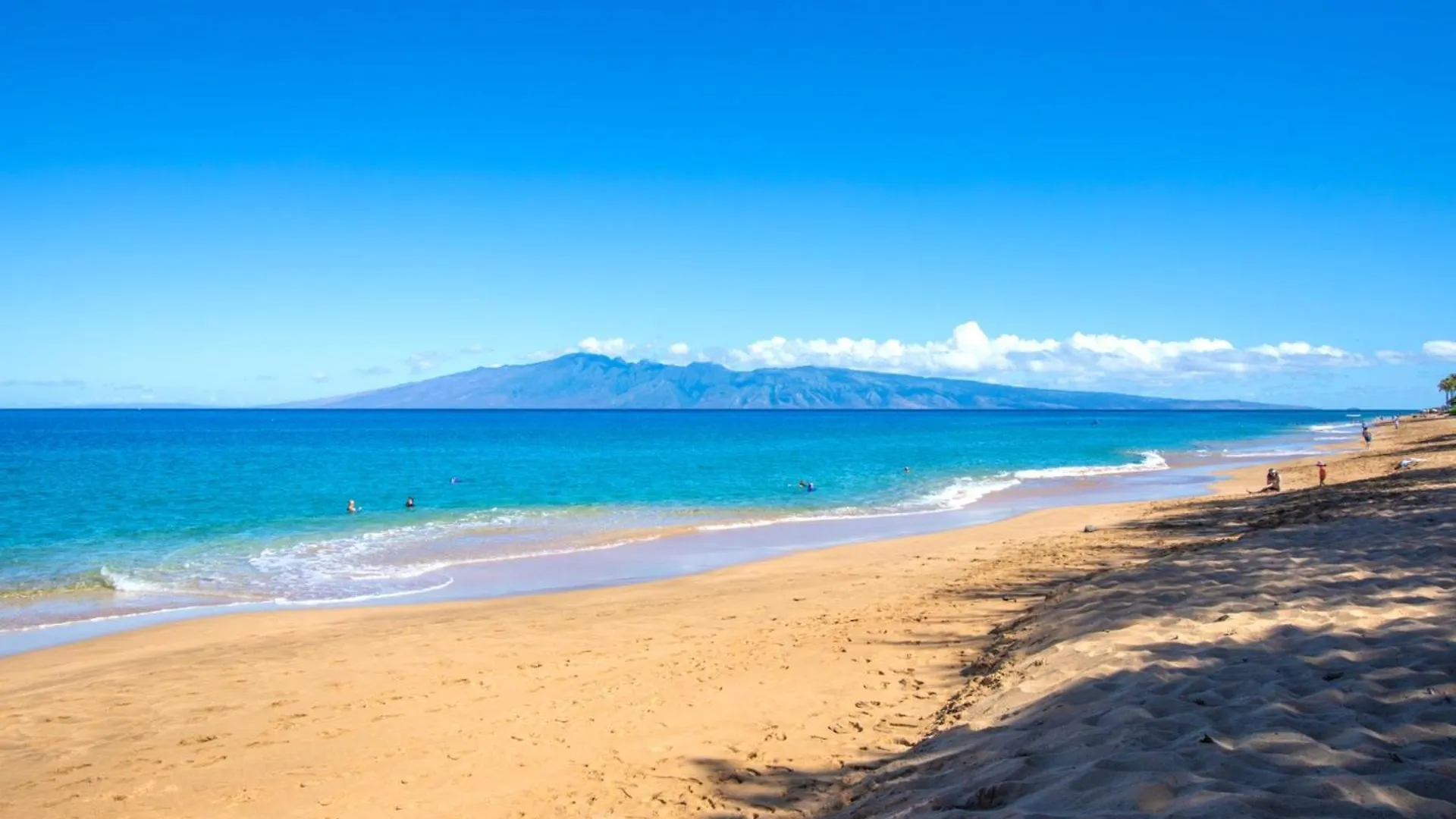 Apartamento Kbm Resorts 2 Free Cars Maui Kaanapali Multi Unit Listing Beachfront Resort 2 Studio Villas Mkv-B24247