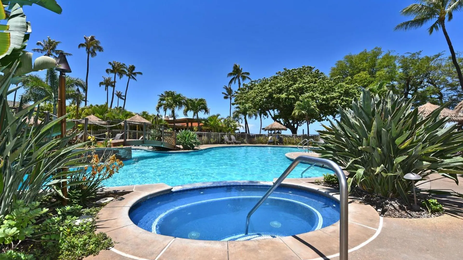 Kbm Resorts 2 Free Cars Maui Kaanapali Multi Unit Listing Beachfront Resort 2 Studio Villas Mkv-B24247