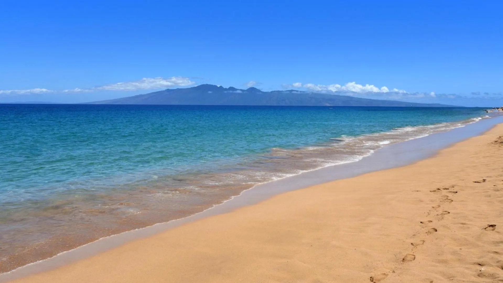 Kbm Resorts 2 Free Cars Maui Kaanapali Multi Unit Listing Beachfront Resort 2 Studio Villas Mkv-B24247 0*,