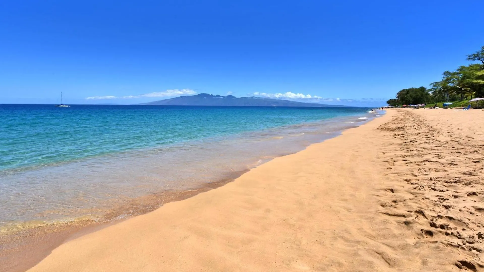 Kbm Resorts 2 Free Cars Maui Kaanapali Multi Unit Listing Beachfront Resort 2 Studio Villas Mkv-B24247