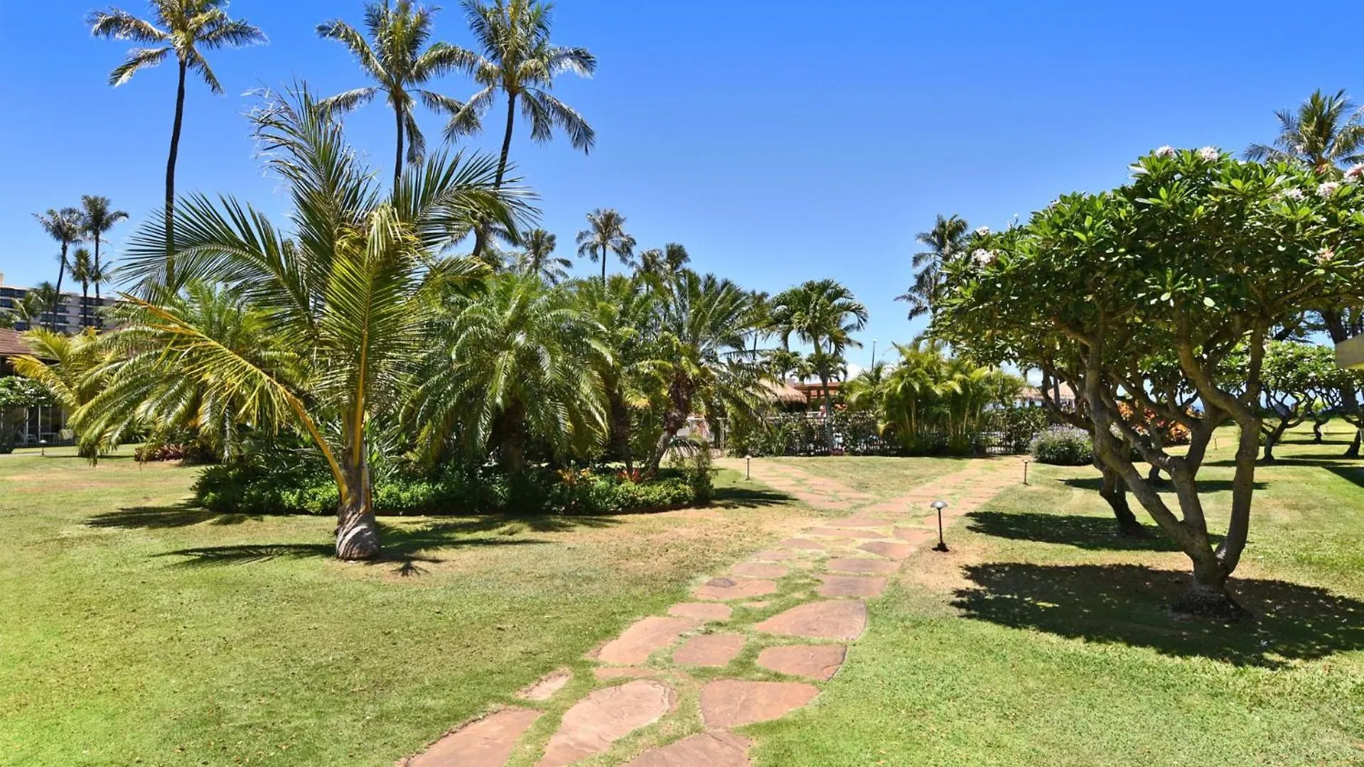 Apartamento Kbm Resorts 2 Free Cars Maui Kaanapali Multi Unit Listing Beachfront Resort 2 Studio Villas Mkv-B24247