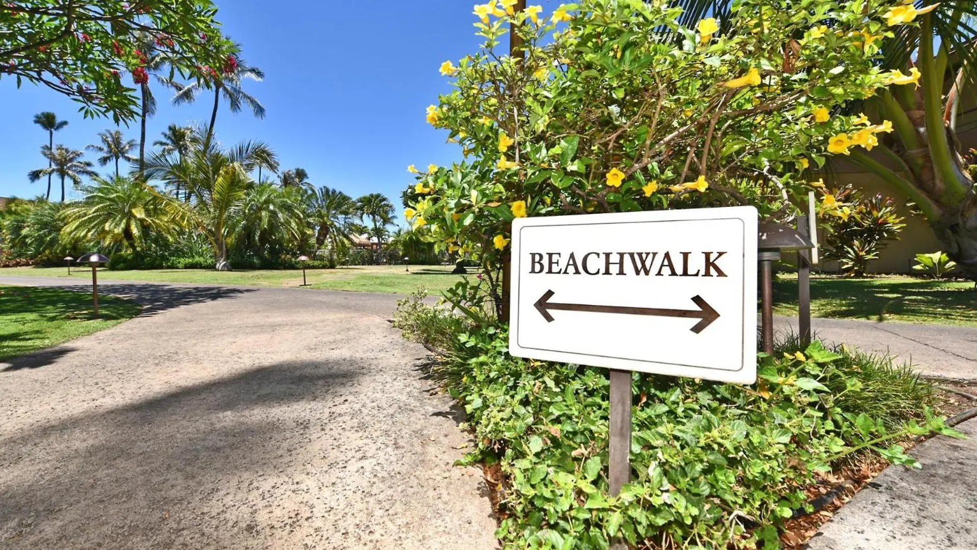 Kbm Resorts 2 Free Cars Maui Kaanapali Multi Unit Listing Beachfront Resort 2 Studio Villas Mkv-B24247 0*,